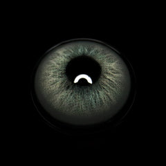Renata Gray Coloured Contact Lenses