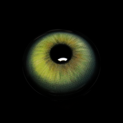 Seren Green Colored Contact Lenses