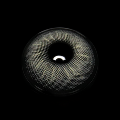 Margarida Gray Colored Contact Lenses