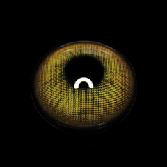 Gretchen Green Colored Contact Lenses
