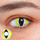 Cosplay Wild Cat Eye Green Colored Contact Lenses