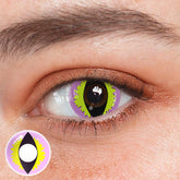 Cosplay Wild Cat Eye Purple Colored Contact Lenses
