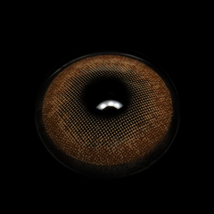 Zaniah Sepia Brown Daily (10 Pcs) Colored Contact Lenses