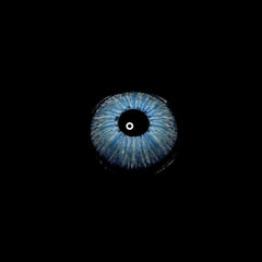 New York 2 BLUE Daily (10 Pcs) Colored Contact Lenses