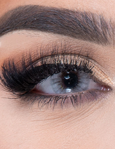 BEESWAX PONY GRAY Colored Contact Lenses