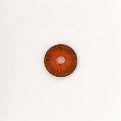 New York N Hazel Colored Contact Lenses