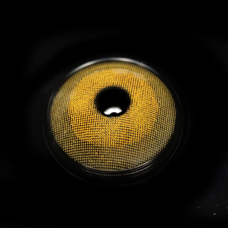 Lentilles de contact colorées marron Meissa