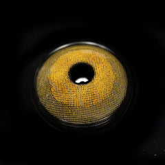 Lentilles de contact colorées marron Meissa