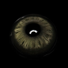 Vanessa Gray Colored Contact Lenses