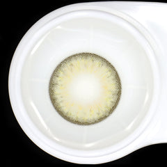 Margaret Daisy Orange Colored Contact Lenses