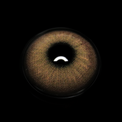 Astrape Brown Colored Contact Lenses