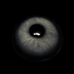 Tiana Brunei grijs gekleurde contactlenzen