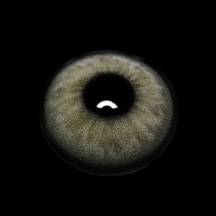 Asteria Gray Colored Contact Lenses