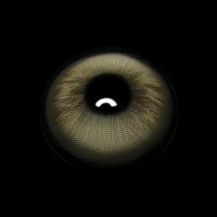 Graca Brown Colored Contact Lenses