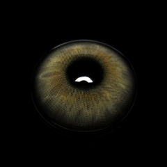 Flavia Gray Colored Contact Lenses