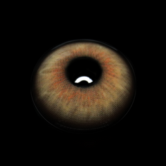 Flavia Brown Colored Contact Lenses