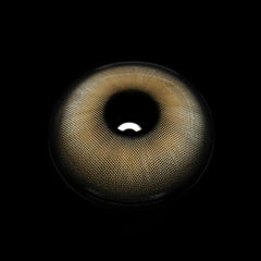Raquel Gray Colored Contact Lenses