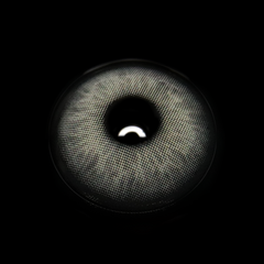 Celia Gray Colored Contact Lenses