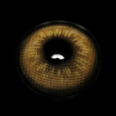 Nova Brown Colored Contact Lenses